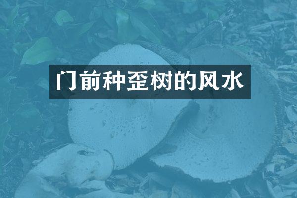 门前种歪树的风水