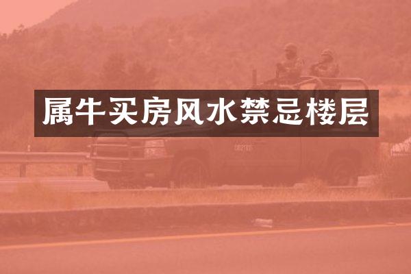 属牛买房风水禁忌楼层