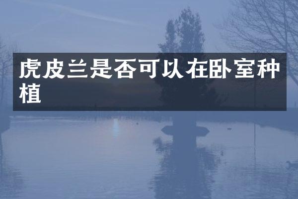 虎皮兰是否可以在卧室种植