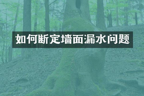 如何断定墙面漏水问题