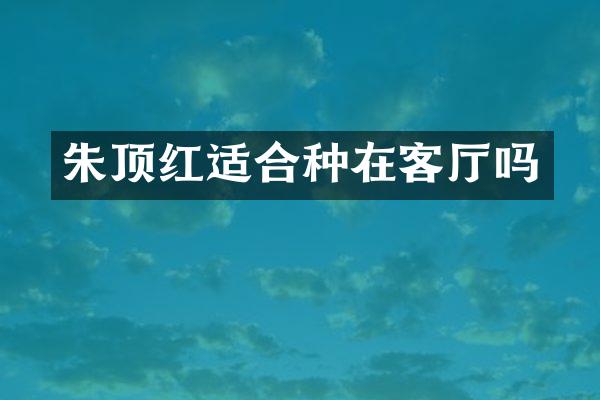 朱顶红适合种在客厅吗