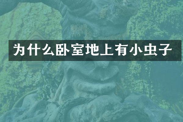 为什么卧室地上有小虫子