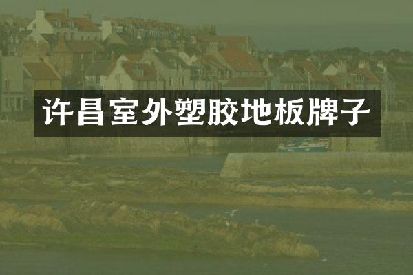 许昌室外塑胶地板牌子