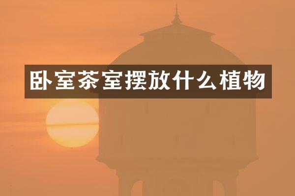 卧室茶室摆放什么植物