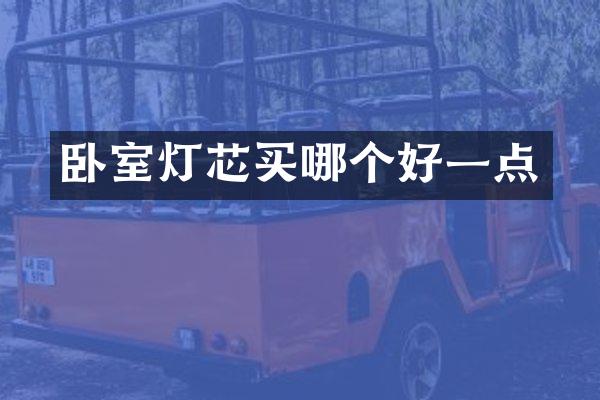 卧室灯芯买哪个好一点