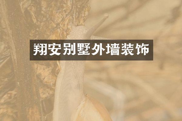 翔安别墅外墙装饰