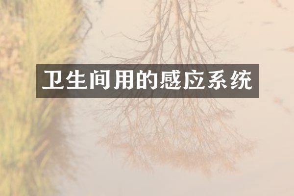 卫生间用的感应系统