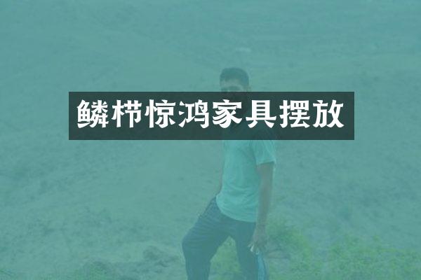 鳞栉惊鸿家具摆放