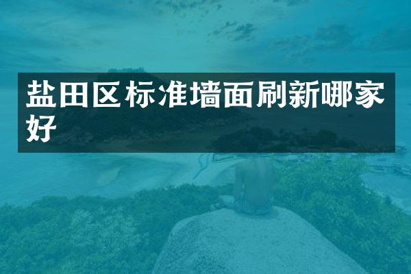 盐田区标准墙面刷新哪家好