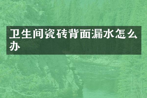 卫生间瓷砖背面漏水怎么办