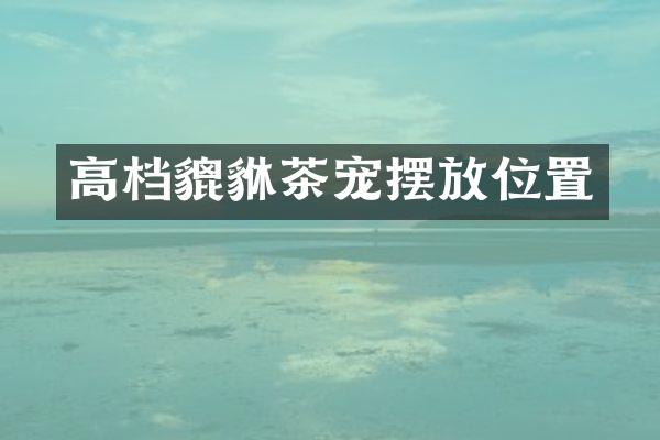 高档貔貅茶宠摆放位置