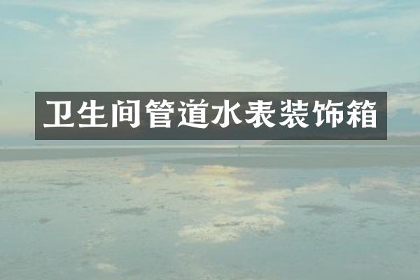 卫生间管道水表装饰箱