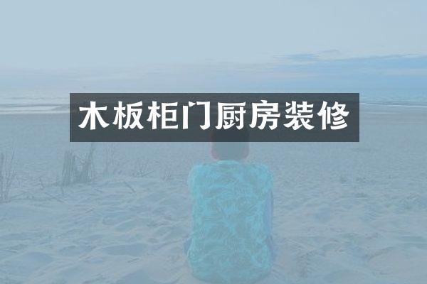 木板柜门厨房装修