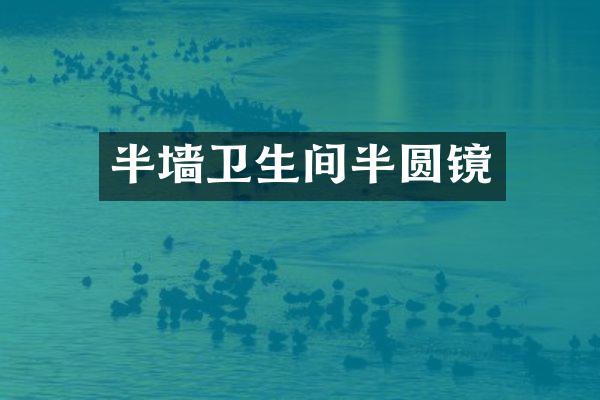 半墙卫生间半圆镜