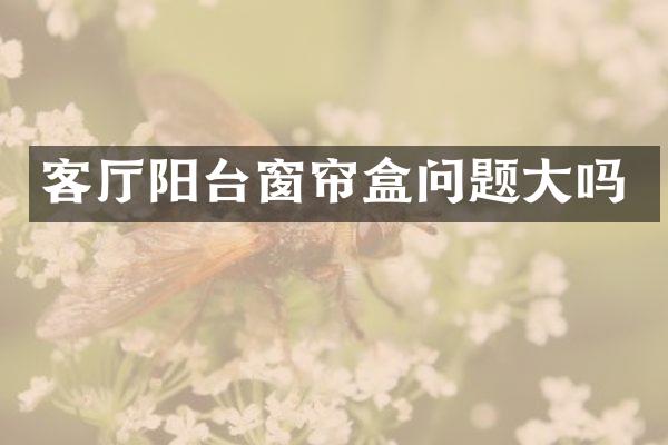 客厅阳台窗帘盒问题大吗