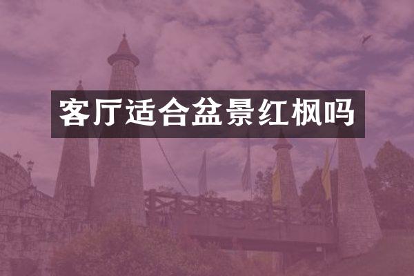 客厅适合盆景红枫吗