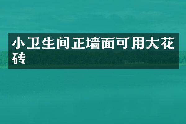 小卫生间正墙面可用大花砖