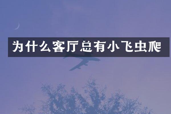 为什么客厅总有小飞虫爬