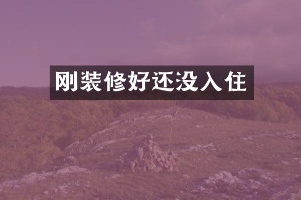 刚装修好还没入住