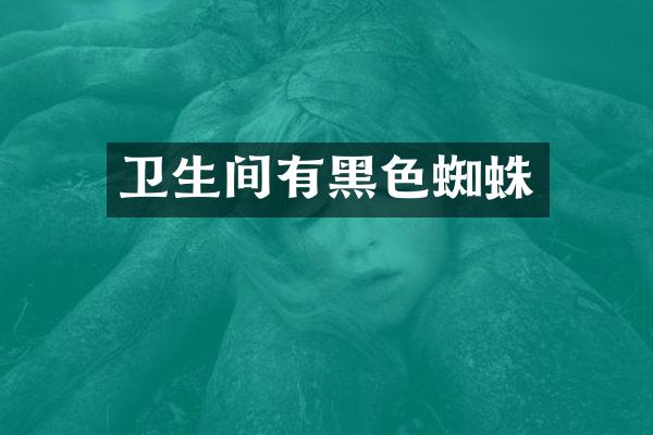 卫生间有黑色蜘蛛