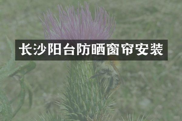 长沙阳台防晒窗帘安装