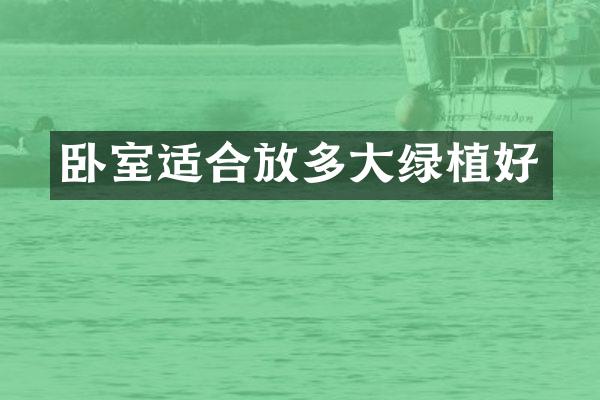 卧室适合放多大绿植好