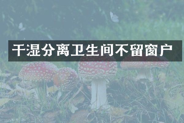干湿分离卫生间不留窗户