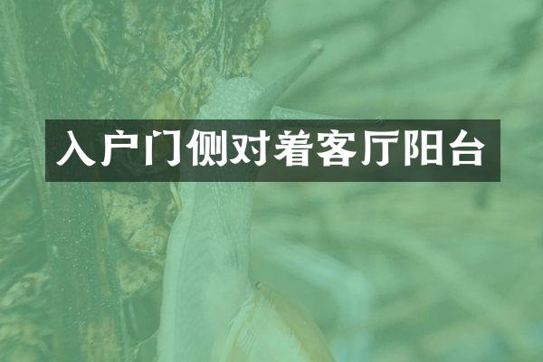入户门侧对着客厅阳台