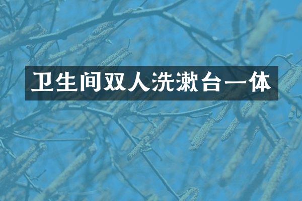 卫生间双人洗漱台一体