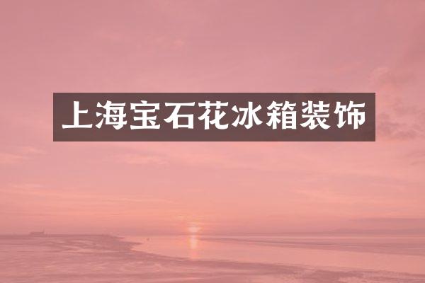 上海宝石花冰箱装饰