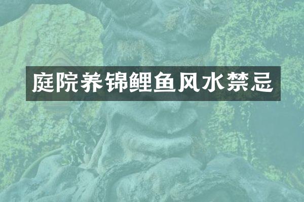 庭院养锦鲤鱼风水禁忌