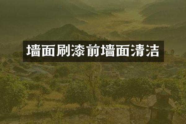 墙面刷漆前墙面清洁