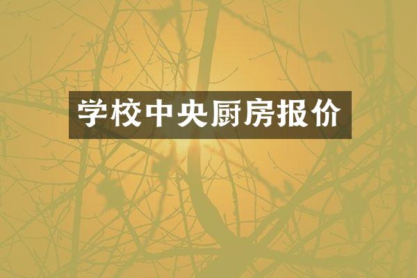 学校中央厨房报价