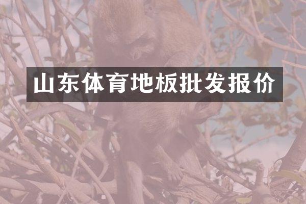 山东体育地板批发报价