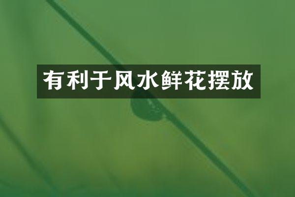 有利于风水鲜花摆放