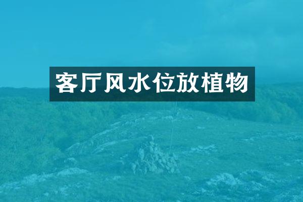 客厅风水位放植物