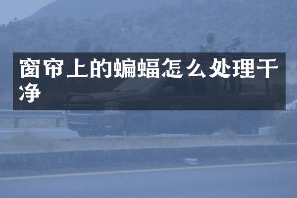 窗帘上的蝙蝠怎么处理干净