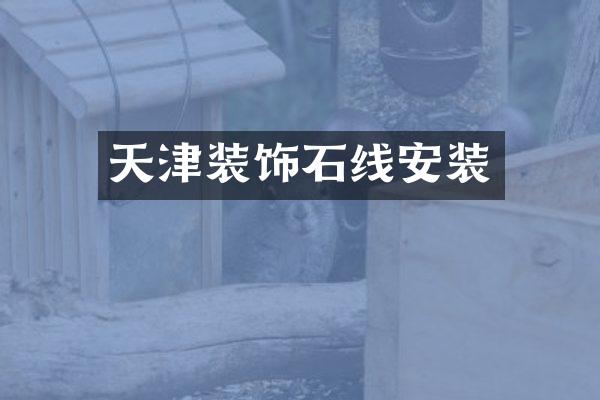 天津装饰石线安装