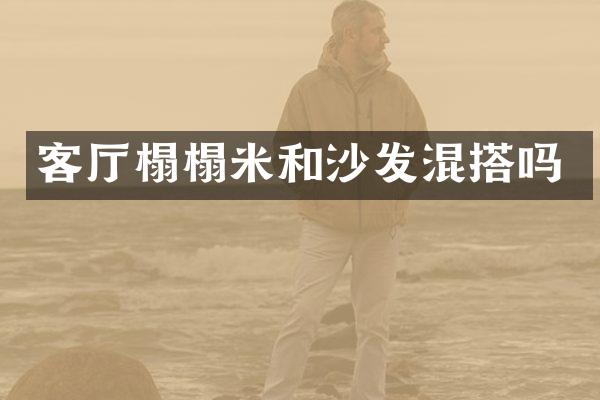 客厅榻榻米和沙发混搭吗