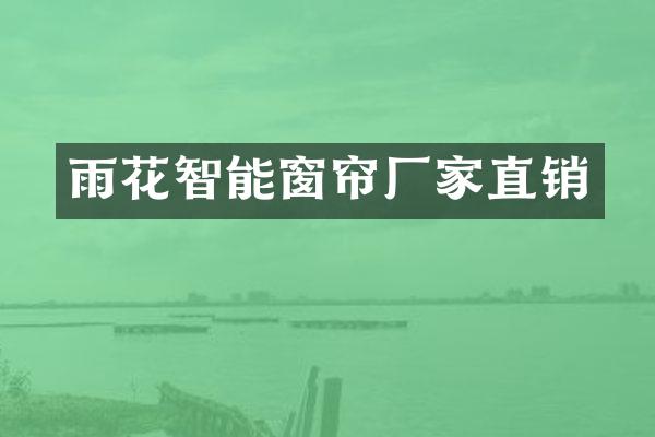 雨花智能窗帘厂家直销