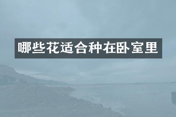 哪些花适合种在卧室里