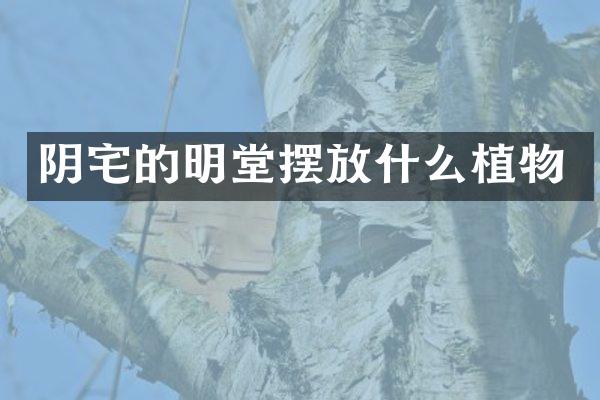 阴宅的明堂摆放什么植物