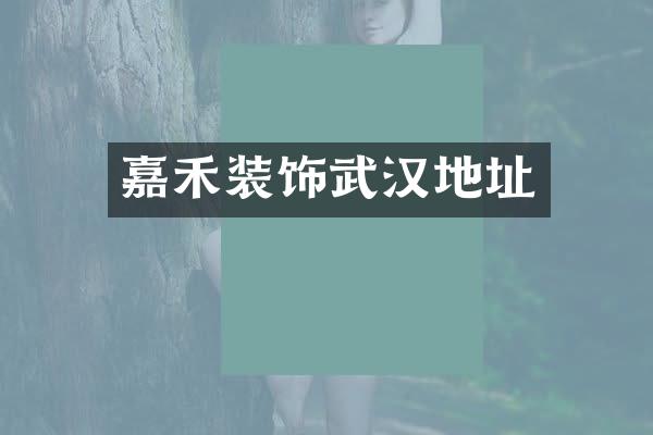 嘉禾装饰武汉地址