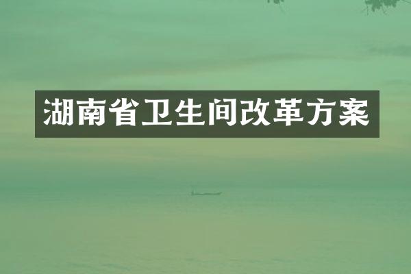 湖南省卫生间改革方案