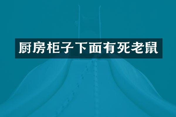 厨房柜子下面有死老鼠