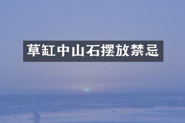 草缸中山石摆放禁忌