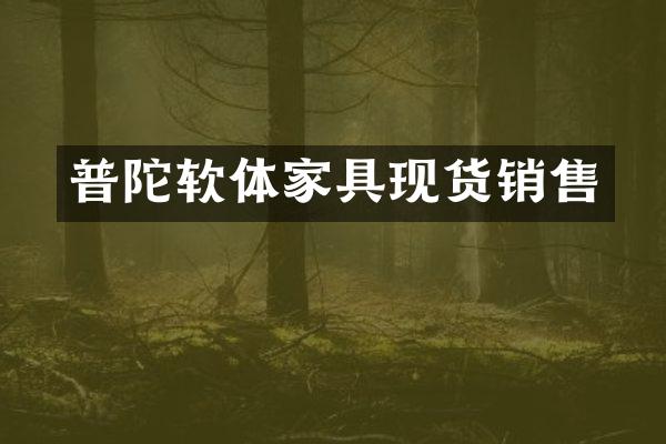 普陀软体家具现货销售