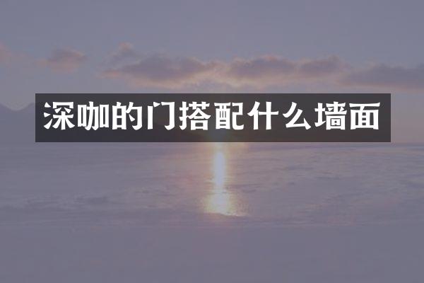 深咖的门搭配什么墙面