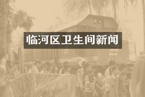 临河区卫生间新闻