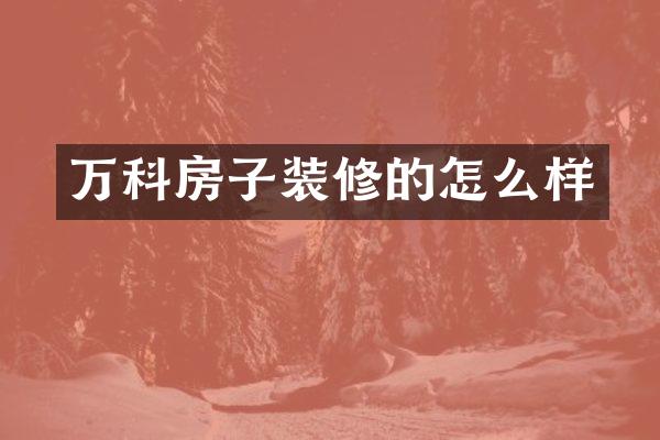 万科房子装修的怎么样